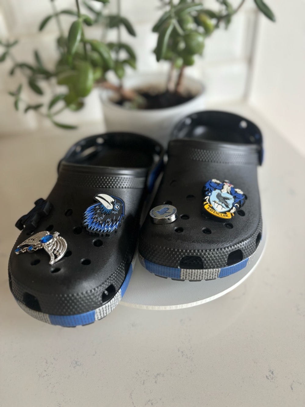 NEW Crocs Harry Potter Edition Ravenclaw with officially branded Croc charms